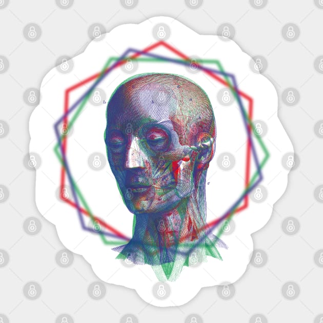 Anatomy RGB Sticker by RAdesigns